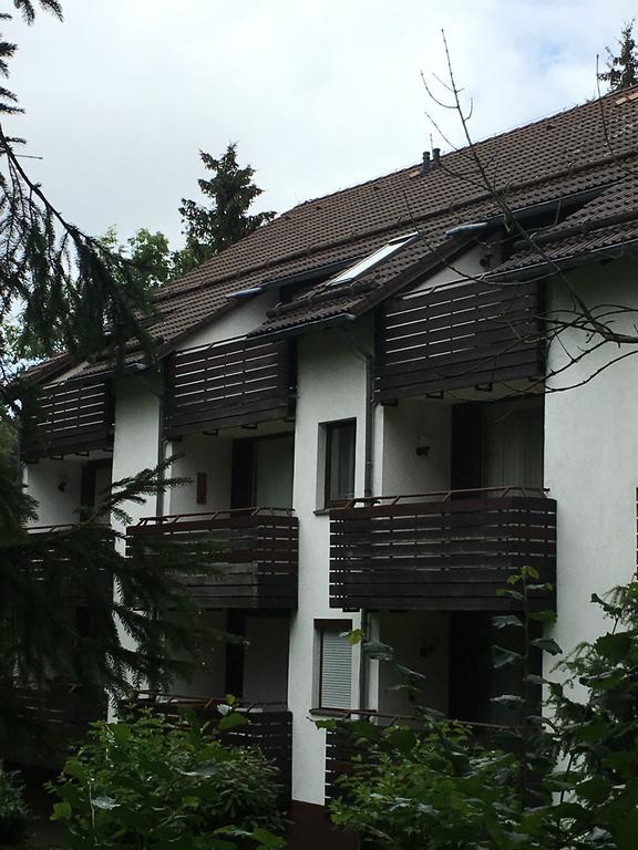 Ferienwohnung Wandervogel Braunlage Ngoại thất bức ảnh